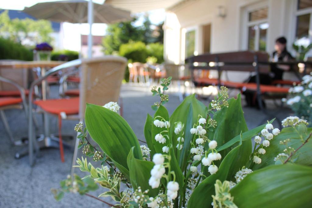 Hotel Lindenhof Thiendorf Zewnętrze zdjęcie